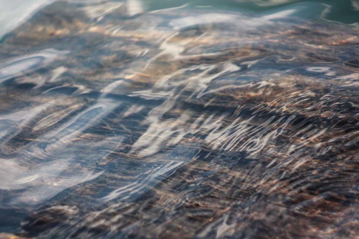 Ex at et ex doloribus saepe consectetur